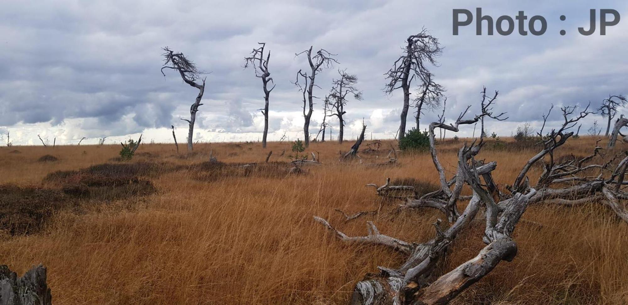 La Taniere Du Lac Робертвиль Экстерьер фото